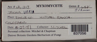 Image Associated With the Occurence